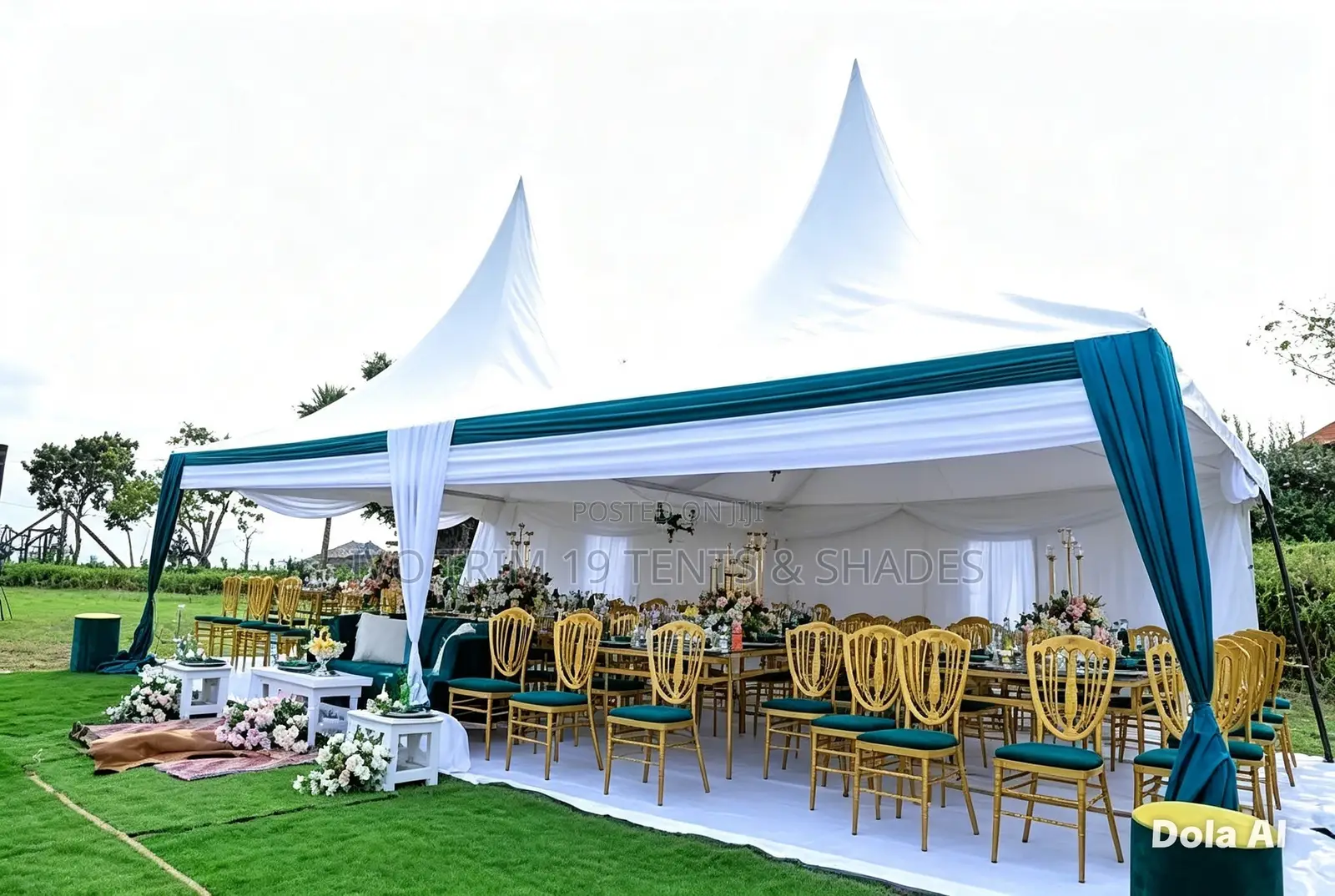 White Peaked Canopy