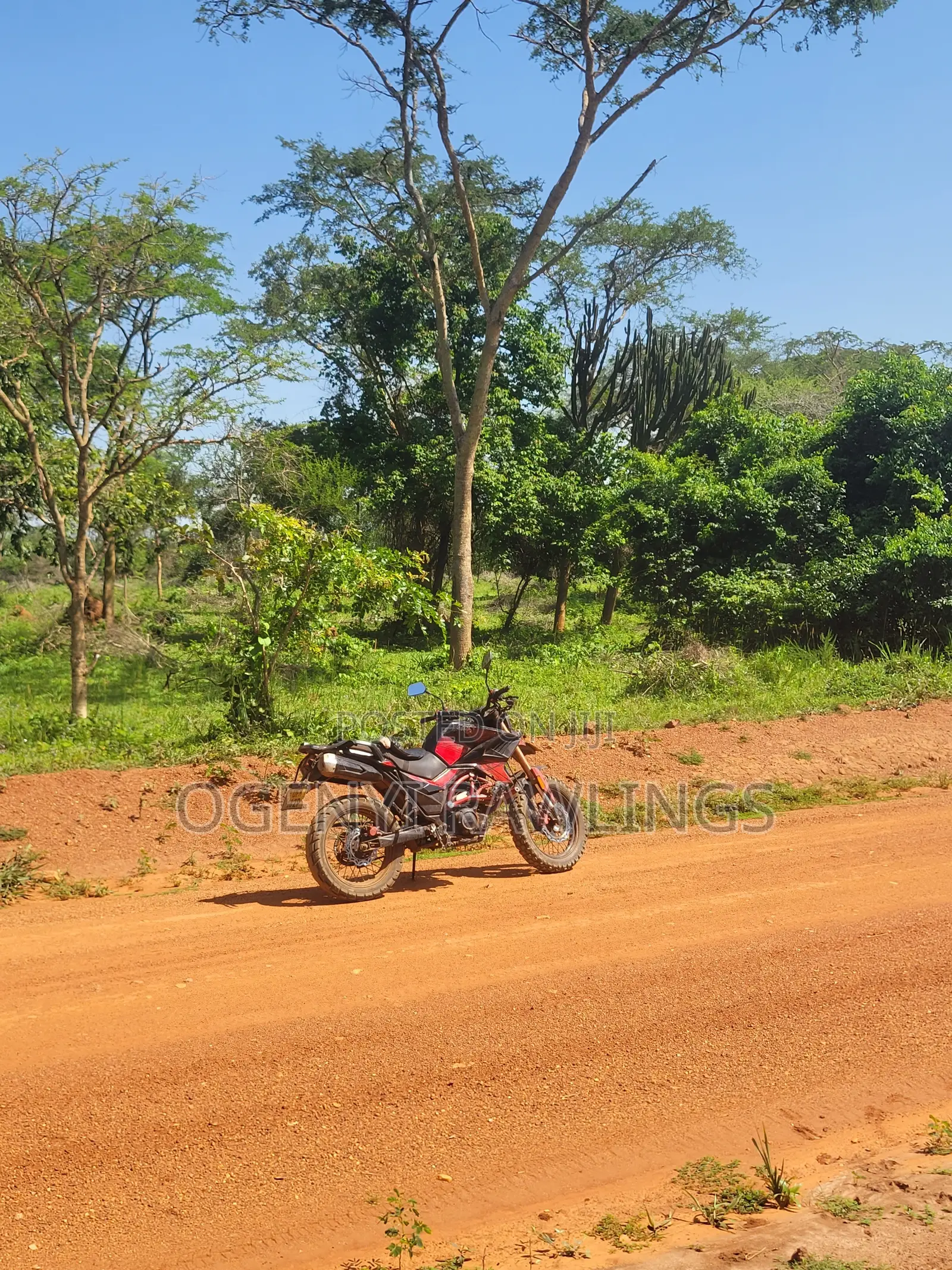 Simba Tekken 250cc 2023 Red