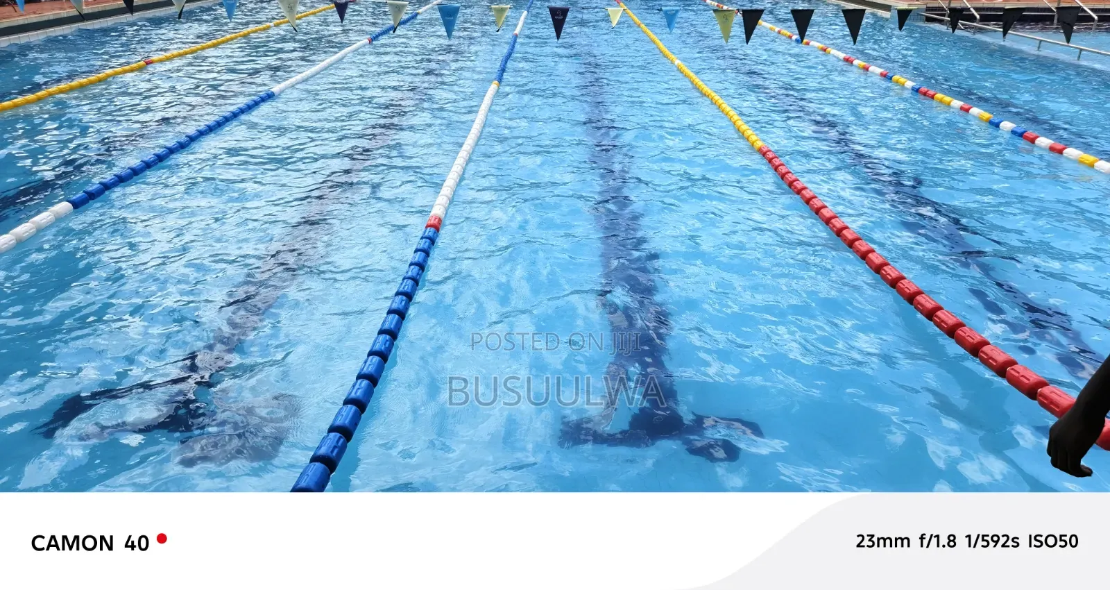 Swimming Instructor/Coach