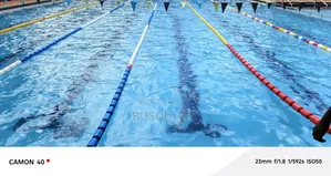 Swimming Instructor/Coach
