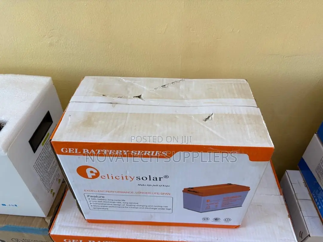Felicity 100Ah Heavy-Duty Deep Cycle Gel Battery