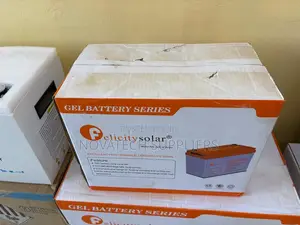 Felicity 100Ah Heavy-Duty Deep Cycle Gel Battery