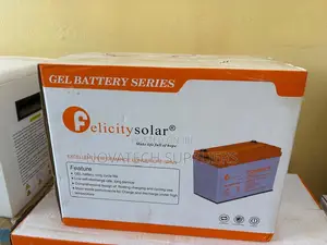 Felicity 12V 100Ah Sealed Deep Cycle Gel Battery