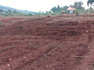Mpigi Booza New Estate