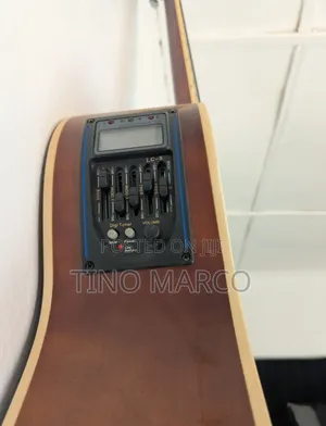 Acoustic Guitar