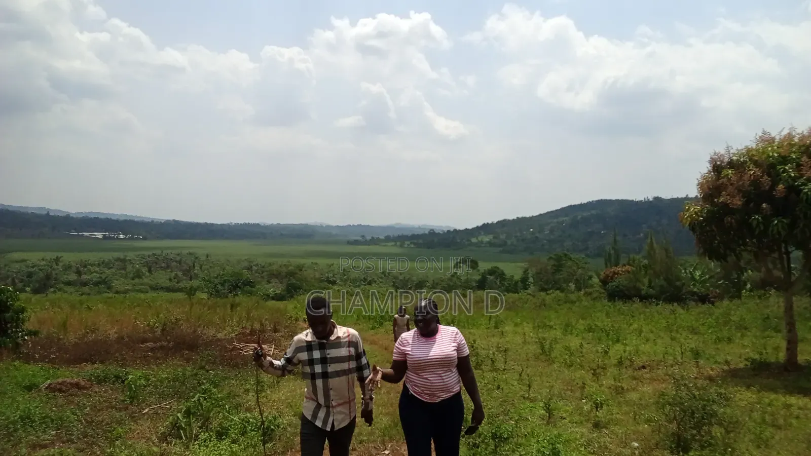 Land in Nkonkojeru