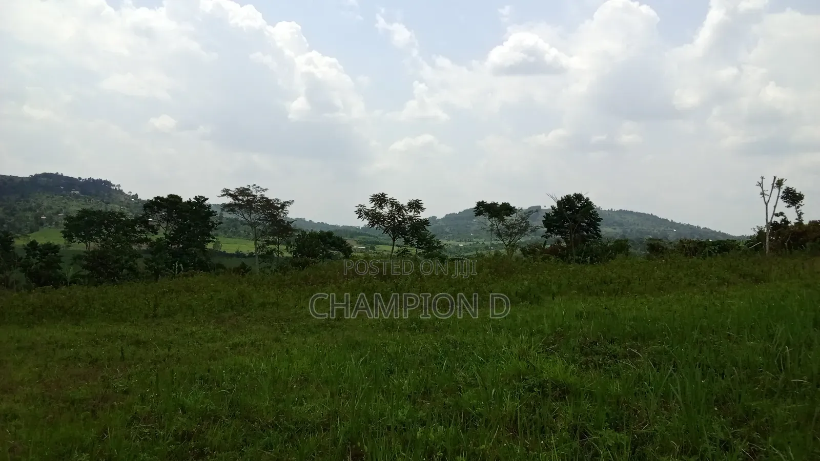 Land in Nkonkojeru