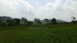 Land in Nkonkojeru