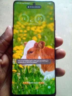Samsung Galaxy S21 Ultra 5G 256 GB Black