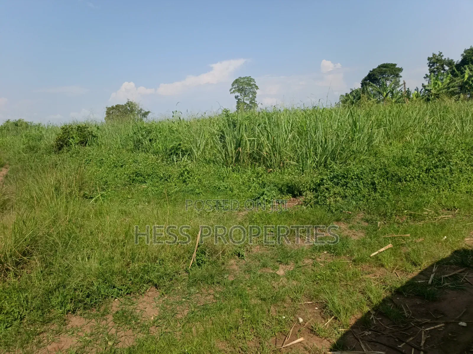 140acres of Land on Sale Located in Bufunjo-Kyenjojo