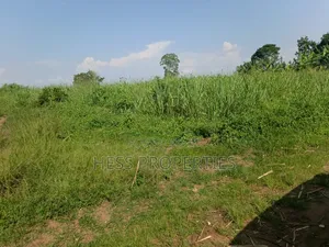 140acres of Land on Sale Located in Bufunjo-Kyenjojo
