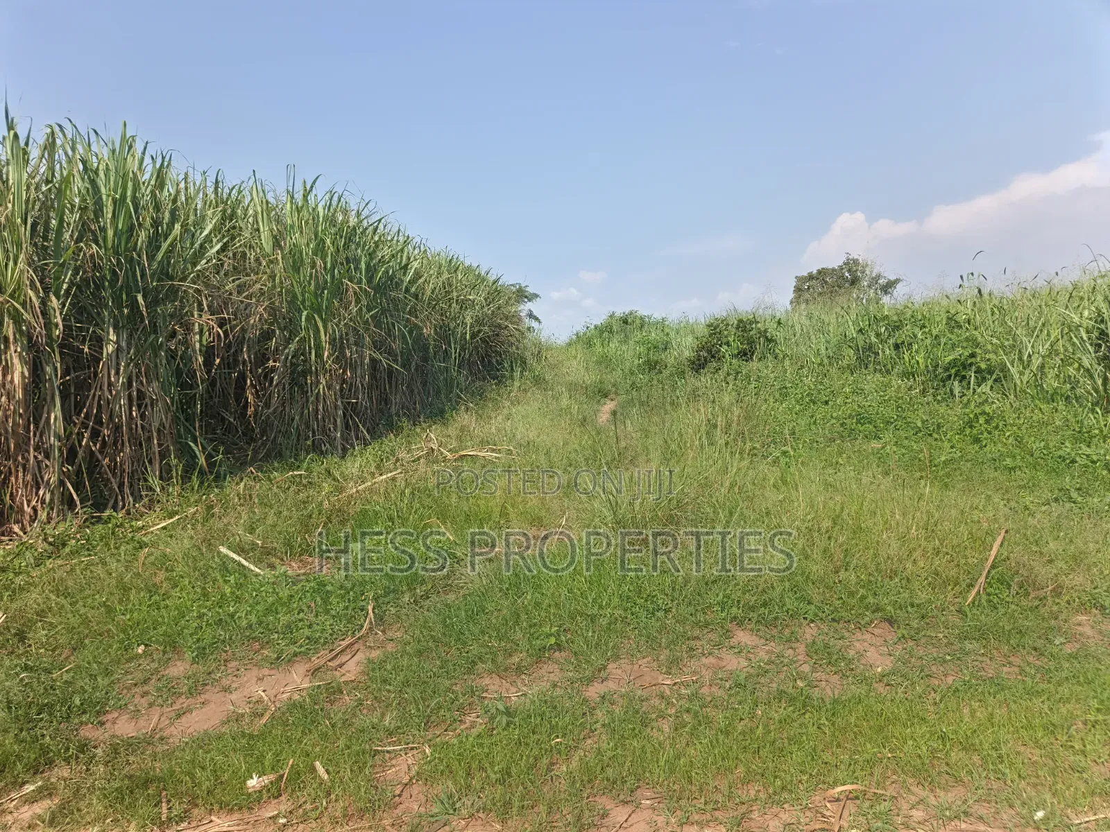 140acres of Land on Sale Located in Bufunjo-Kyenjojo