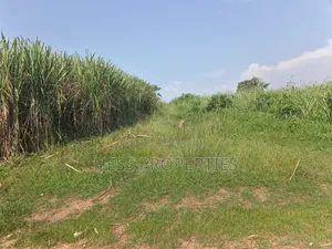 140acres of Land on Sale Located in Bufunjo-Kyenjojo