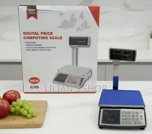 Digital Price Computing Scale (Model 828B)