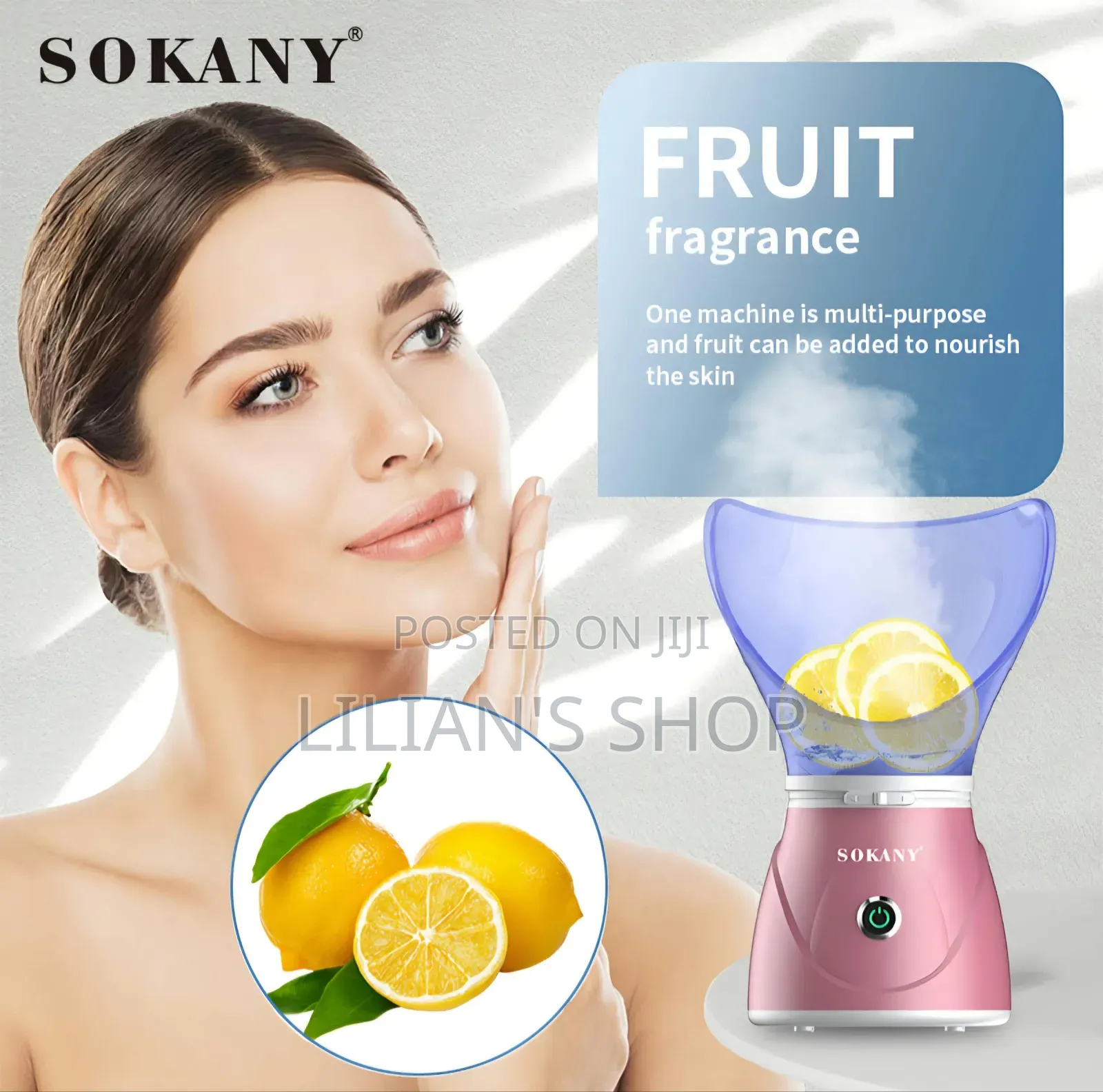 Sokany Sauna Facial Face Steamer