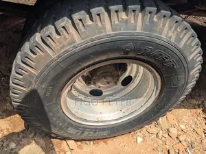 Perfect Truck Canter on Market