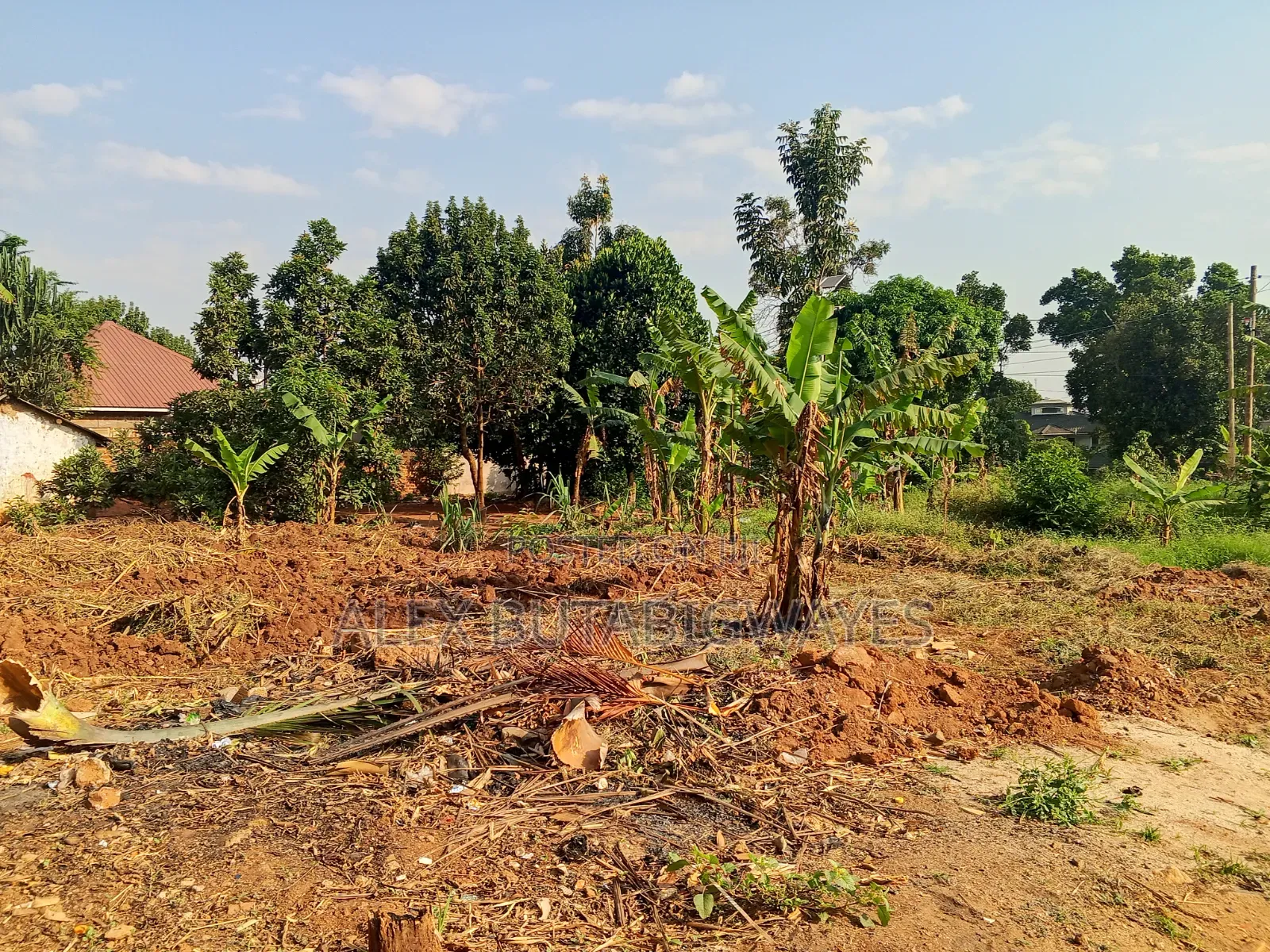 Plot for in Kulambiro