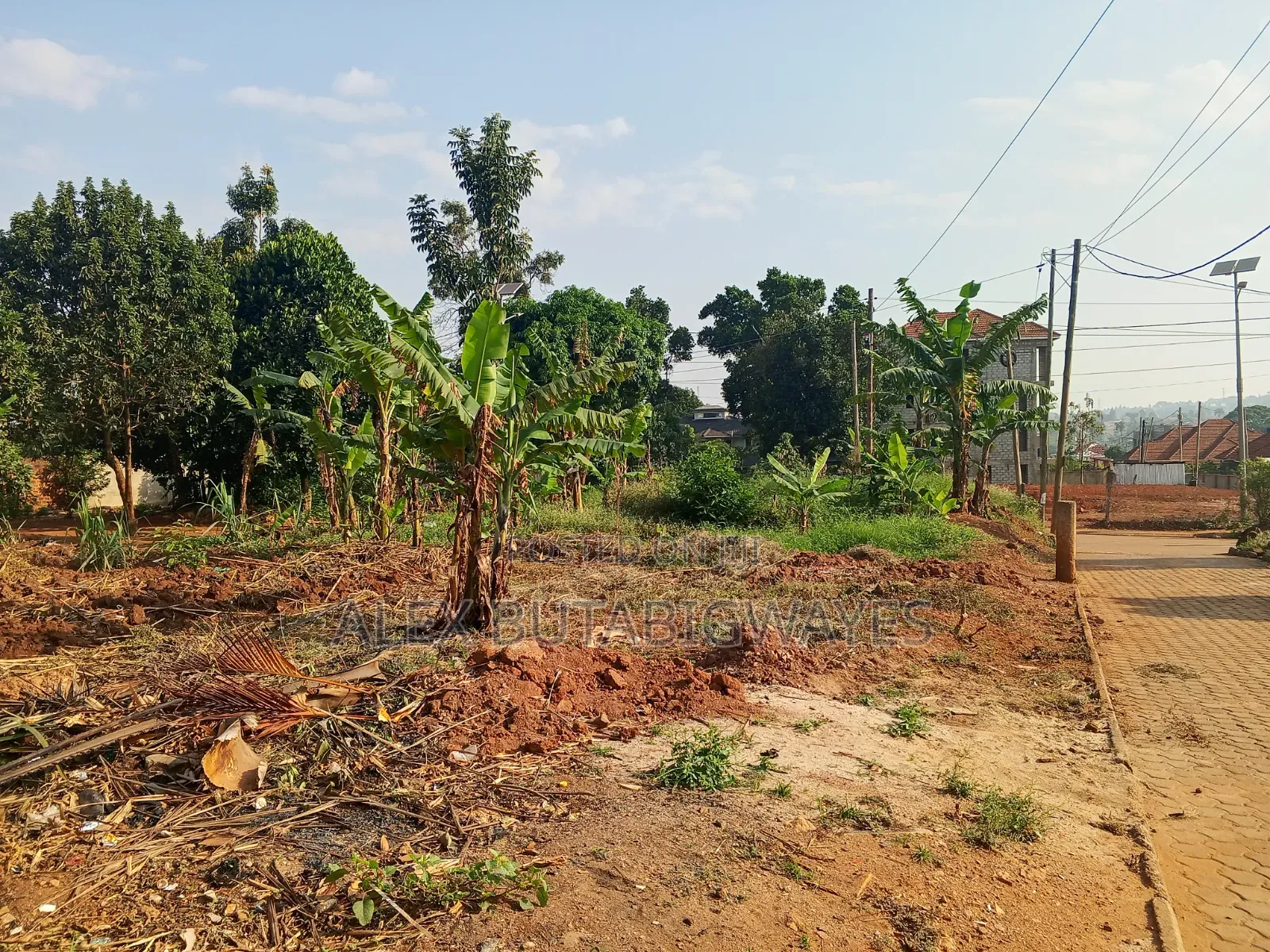 Plot for in Kulambiro