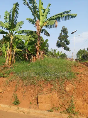 Plot for in Kulambiro