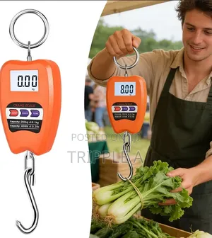 Mini Industry Buggage Weighing Portable Scale
