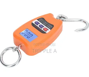 Mini Industry Buggage Weighing Portable Scale