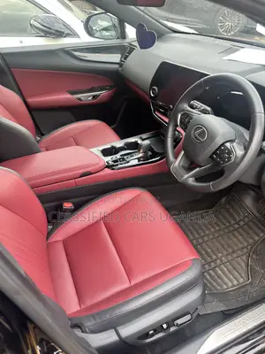 Lexus NX 250 AWD 2023 Black