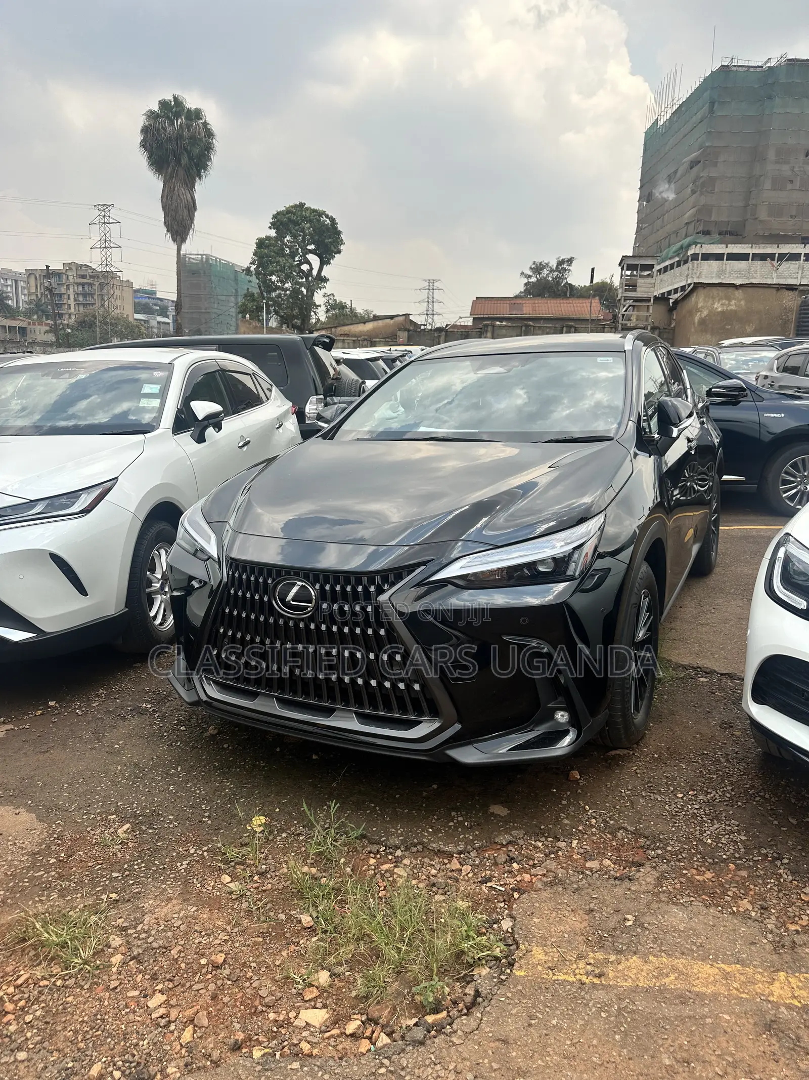 Lexus NX 250 AWD 2023 Black