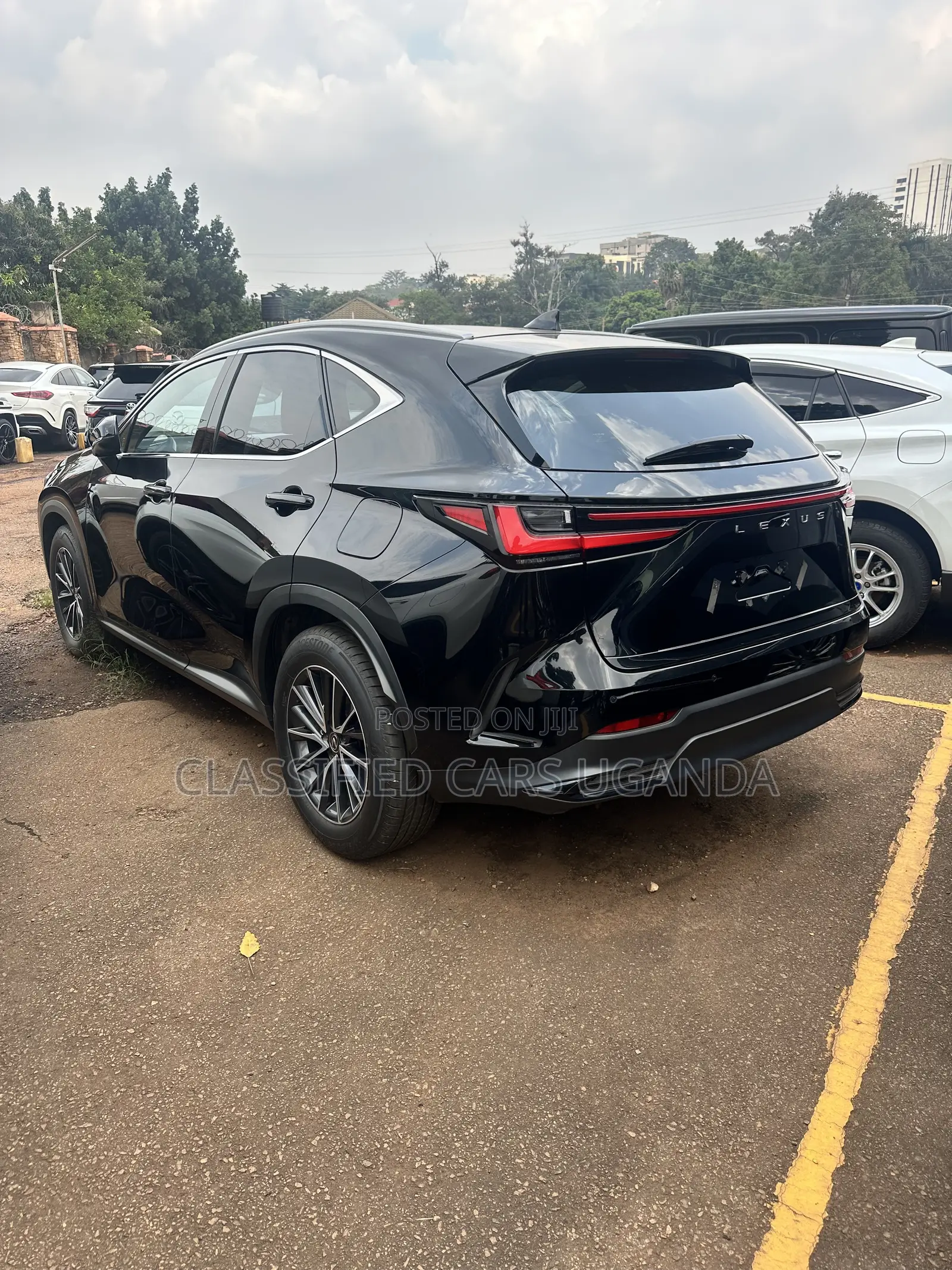 Lexus NX 250 AWD 2023 Black