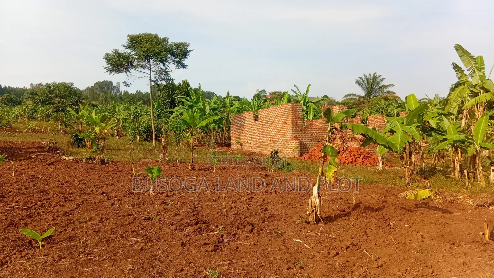 50×100ft –18M| 100×100ft –36M| 50×50ft –9M| Plots, Mafubira,Jinja City