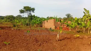 50×100ft –18M| 100×100ft –36M| 50×50ft –9M| Plots, Mafubira,Jinja City