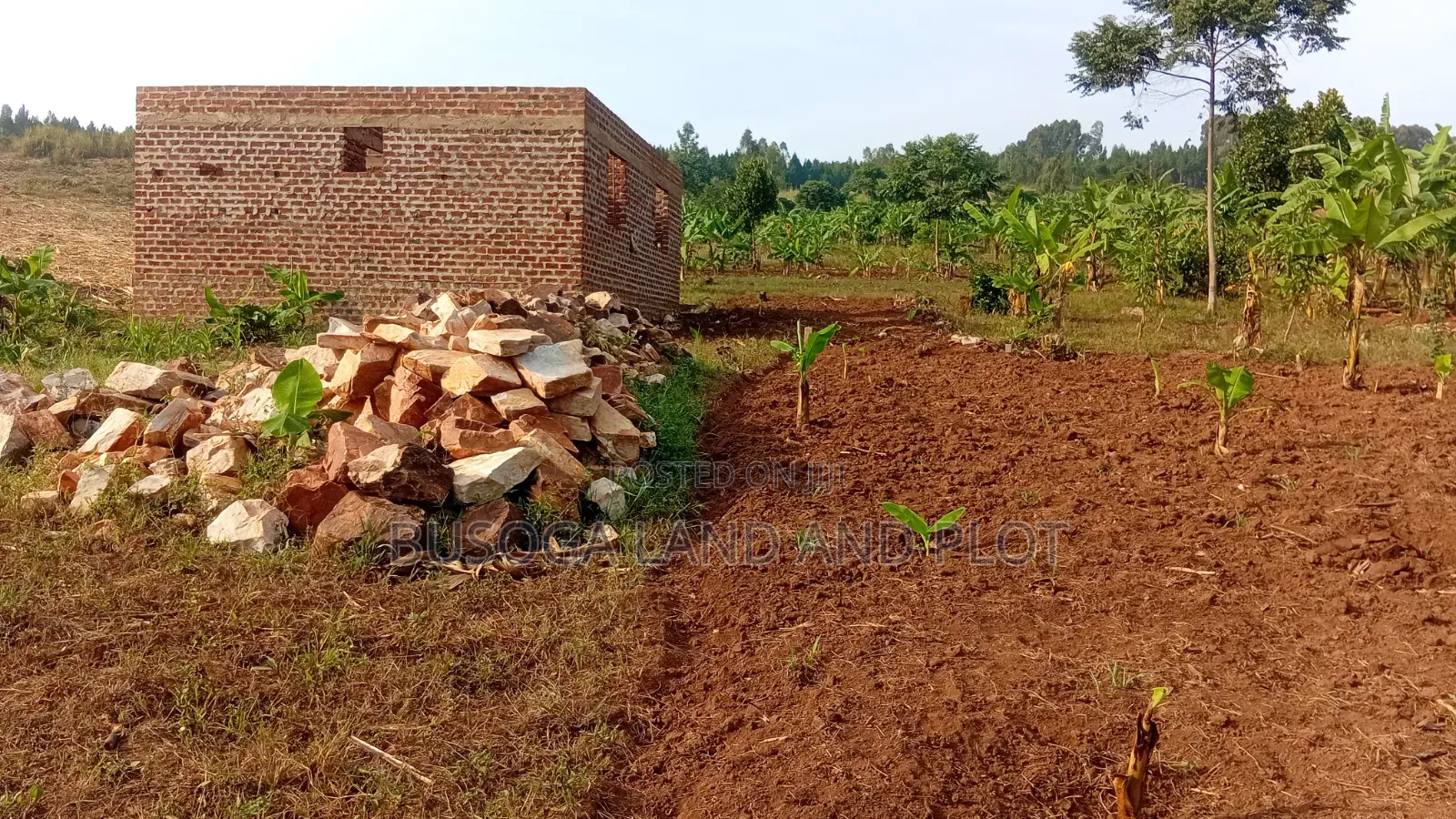 50×100ft –18M| 100×100ft –36M| 50×50ft –9M| Plots, Mafubira,Jinja City