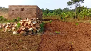 50×100ft –18M| 100×100ft –36M| 50×50ft –9M| Plots, Mafubira,Jinja City