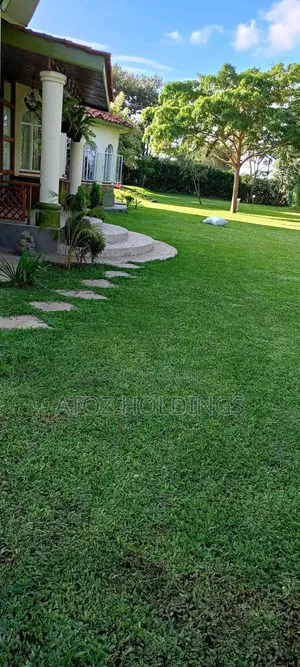 Paving, Pavers Walkway Slabs Supply Installation Services