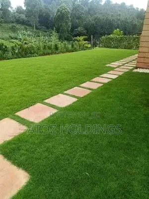 Paving, Pavers Walkway Slabs Supply Installation Services
