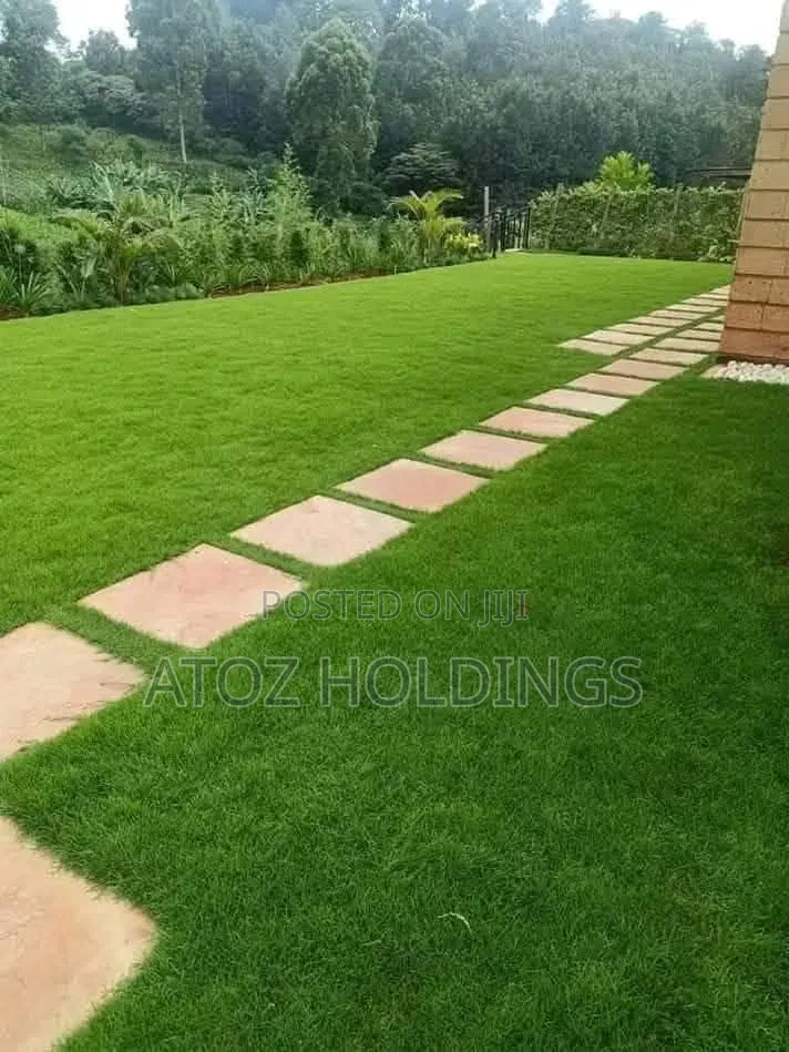 Paving, Pavers Walkway Slabs Supply Installation Services
