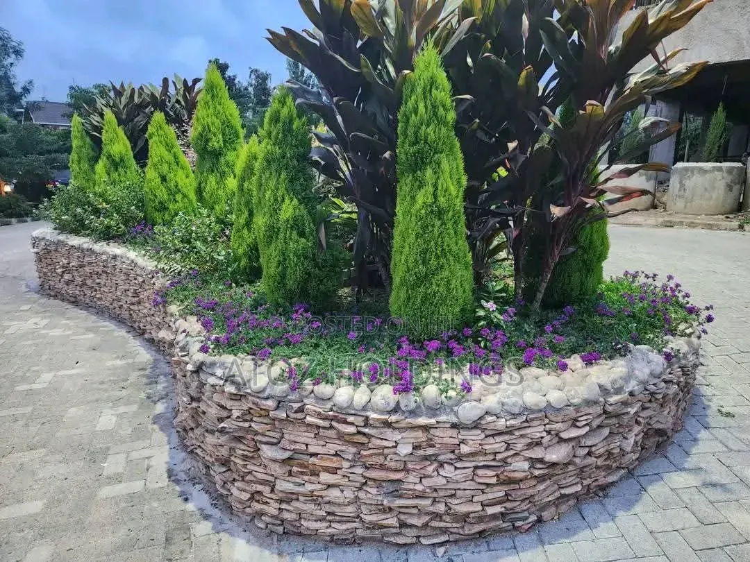 Paving, Pavers Walkway Slabs Supply Installation Services