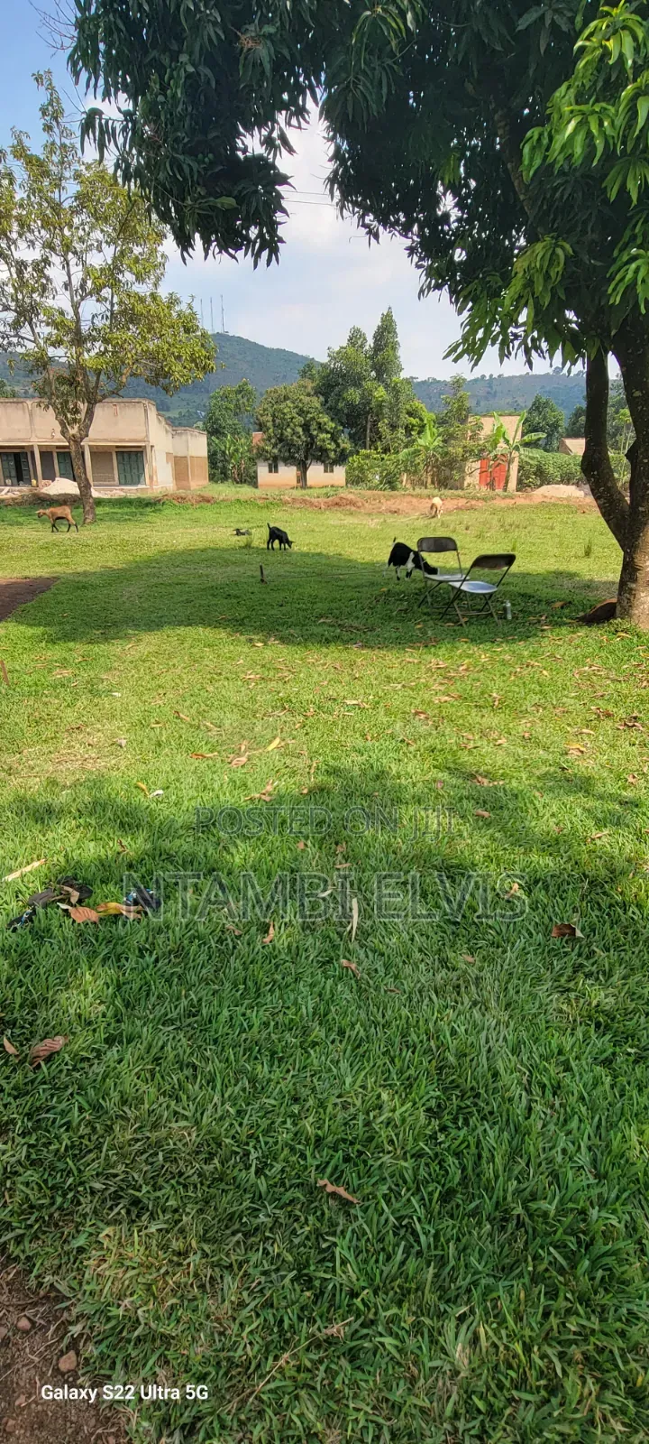 Land for Sale