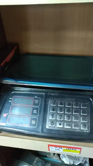 Digital Pricing and Weighing Scale - Multicolor