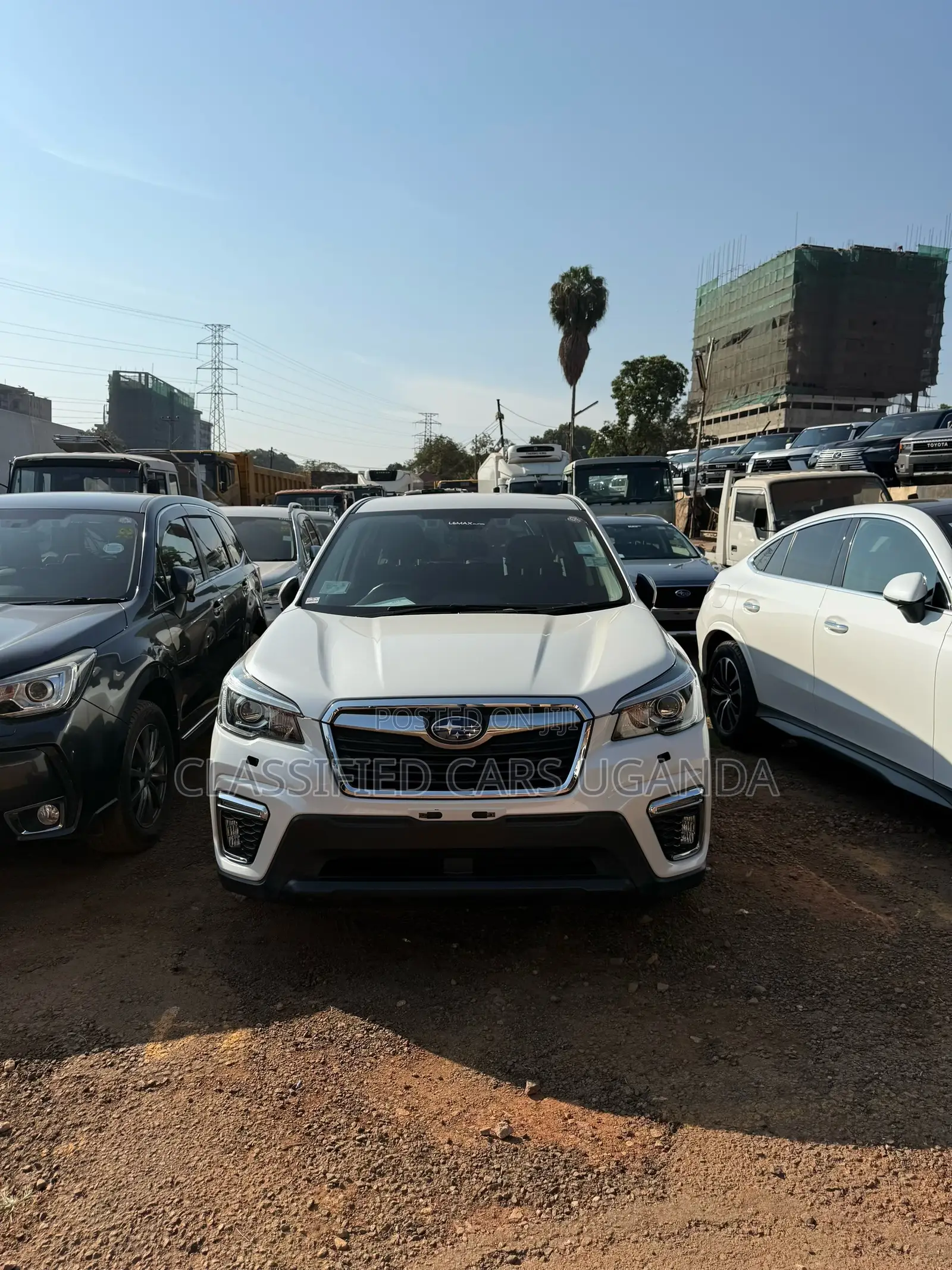 Subaru Forester Limited AWD 2019 White