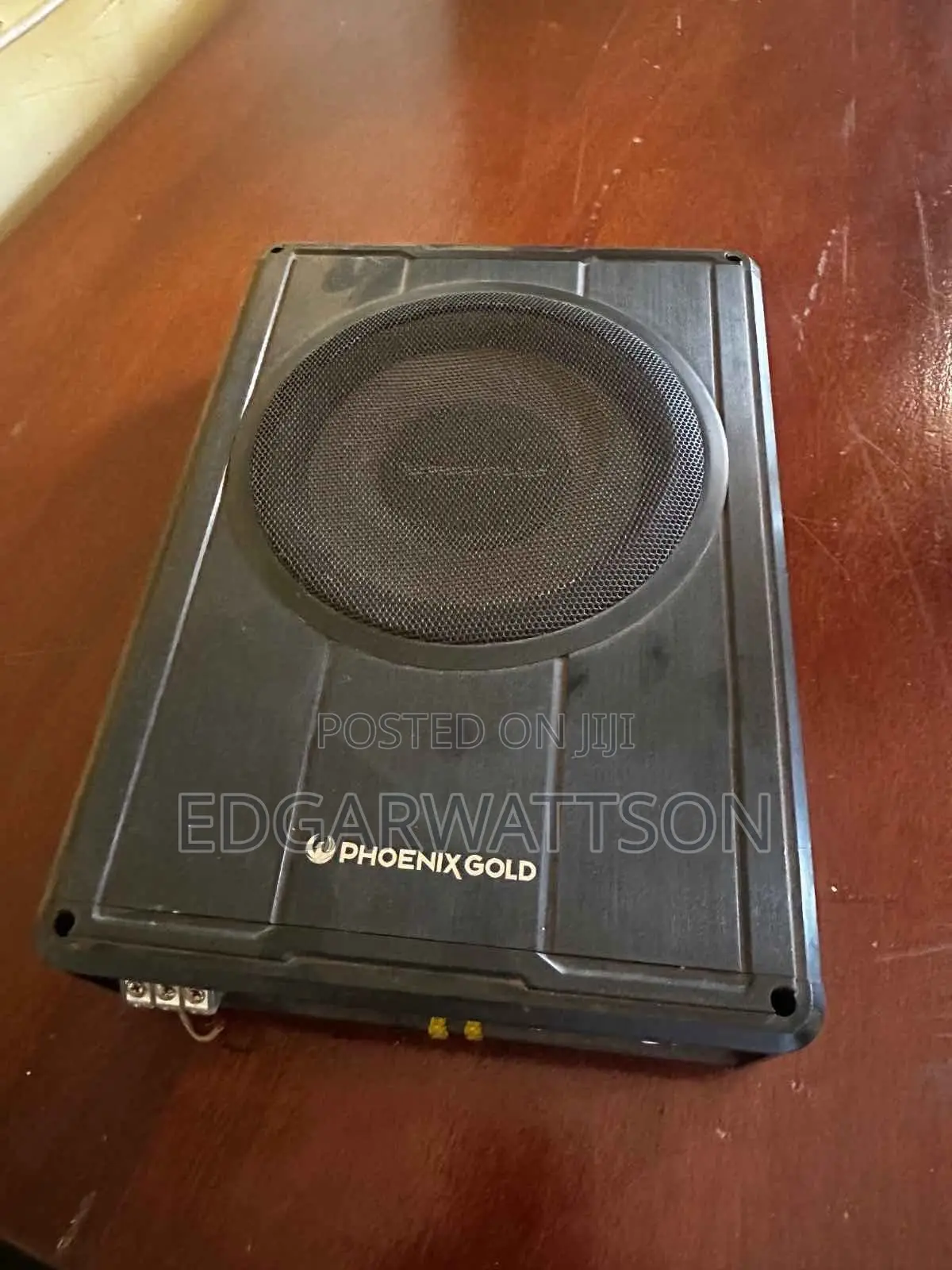 Phoenix Gold Subwoofer