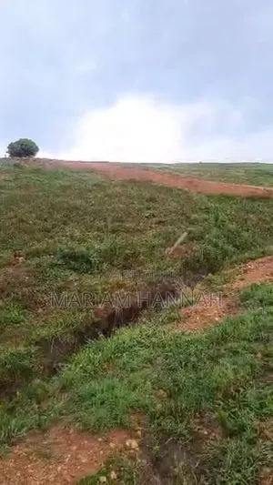Titled 50*100 Plots for Sale in Kira Buwaate _ Ready Title