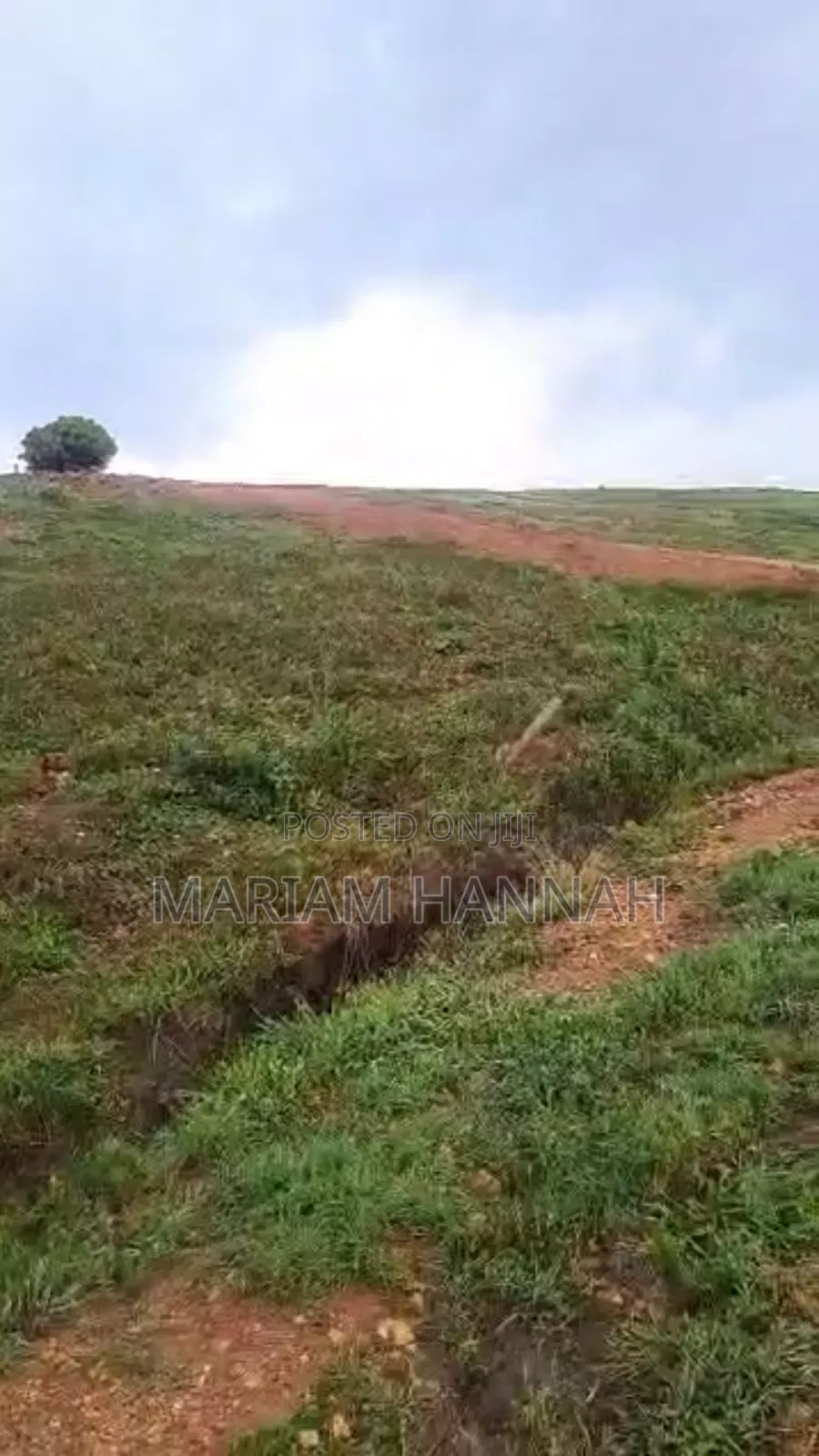 Titled 50*100 Plots for Sale in Kira Buwaate _ Ready Title