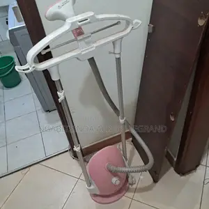 Garment Steamer for Sale