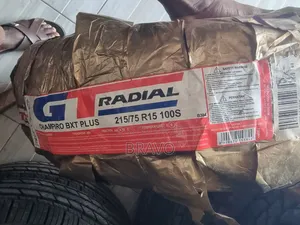 215/75r15 GT Champiro BXT Plus.