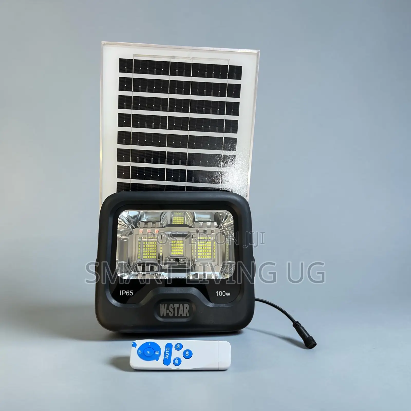 W-Star 100W LED Solar Flood Light With Remote & Solar Panel