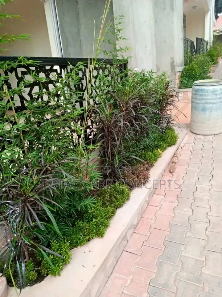 Classic Compound Designers in Kampala