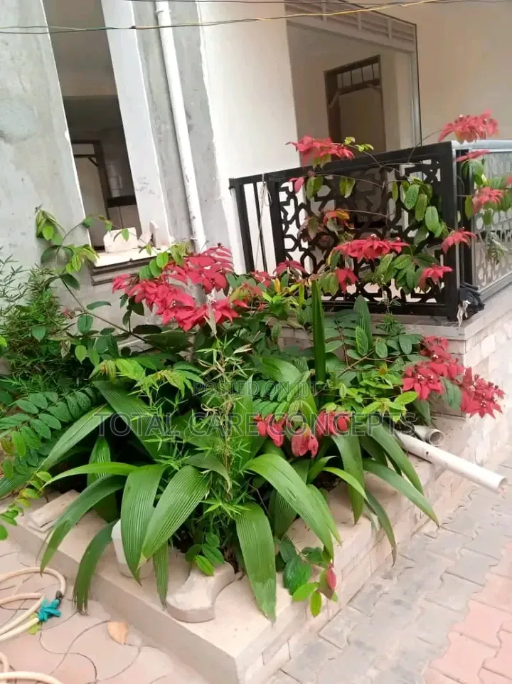Classic Compound Designers in Kampala
