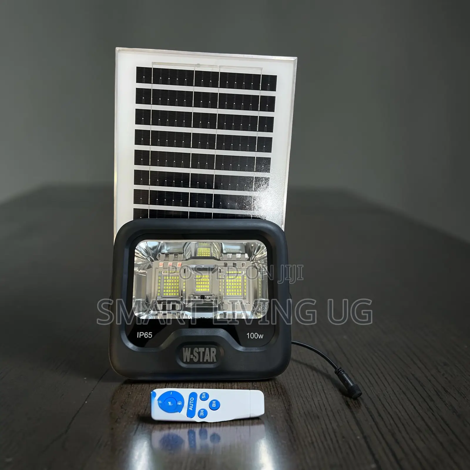W-Star Outdoor Lighting: 100W Dusk-to-Dawn Solar Flood Light