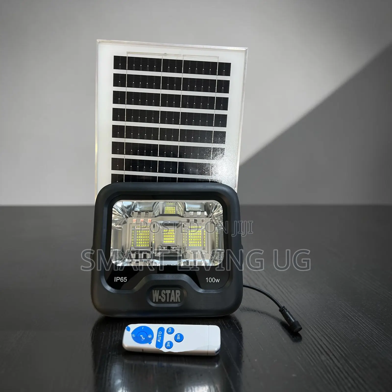 W-Star 100W Bright Solar Floodlight – Zero Electricity Bills!
