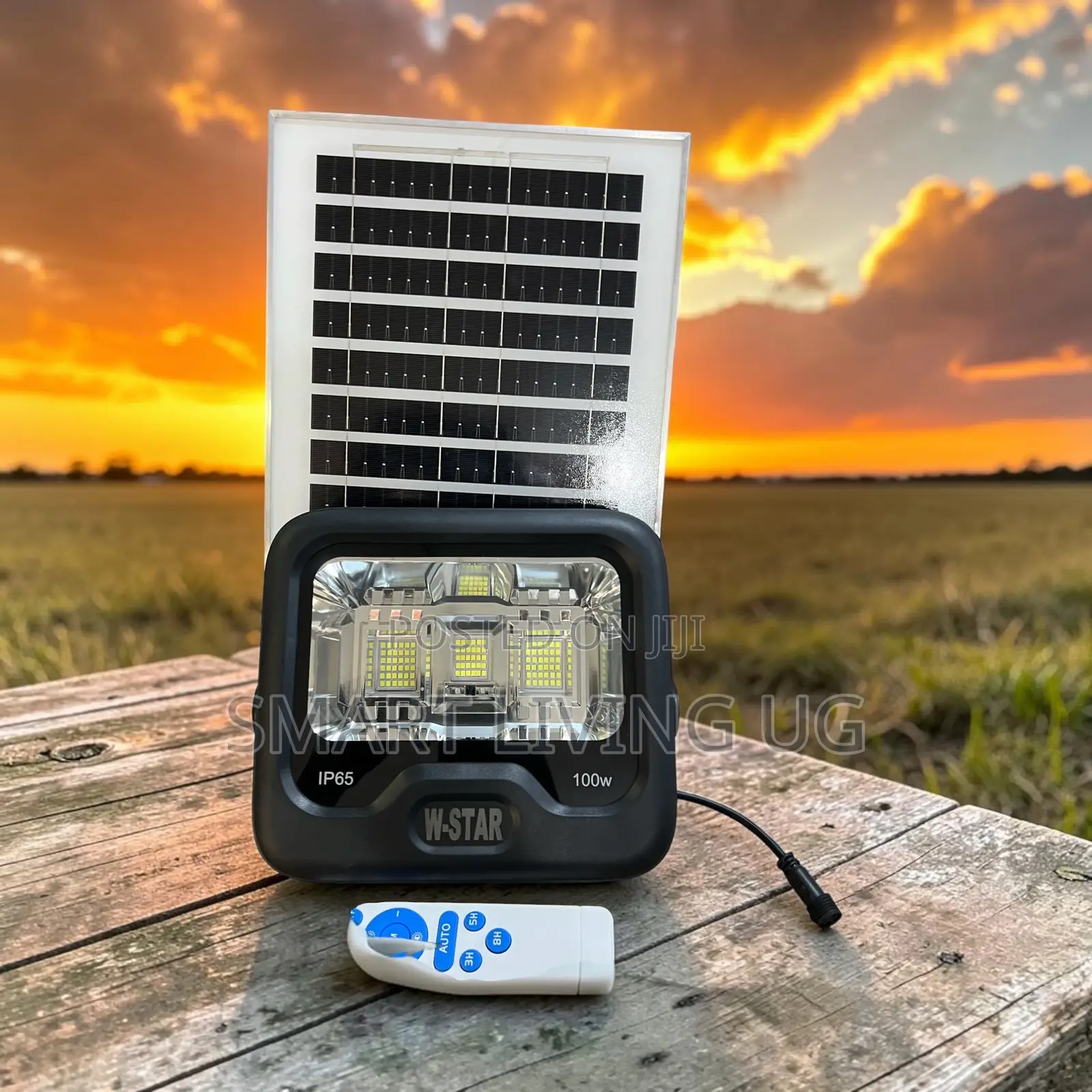 All-Weather 100W Solar Flood Light With Auto on/Off
